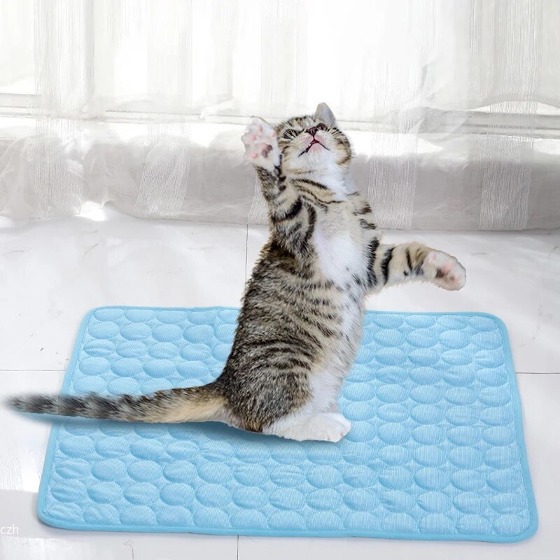Tapetes de Gelo para Animais d - Cooling Blanket Hot Sleepers avaliação e preço